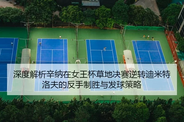 shen-du-jie-xi-xin-na-zai-nv-wang-bei-cao-di-jue-sai-ni-zhuan-di-mi-te-luo-fu-de-fan-shou-zhi-sheng-yu-fa-qiu-ce-lve-2-603.jpg
