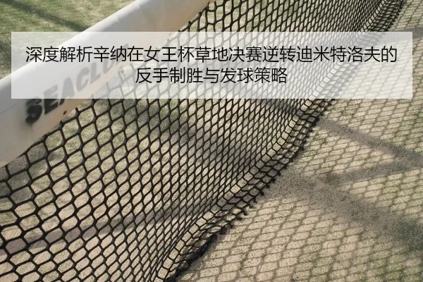 深度解析辛纳在女王杯草地决赛逆转迪米特洛夫的反手制胜与发球策略
