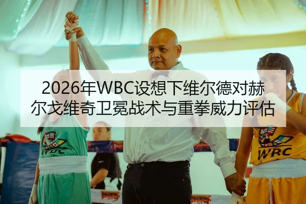 2026年WBC设想下维尔德对赫尔戈维奇卫冕战术与重拳威力评估