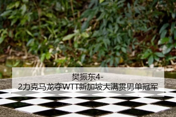 樊振东4-2力克马龙夺WTT新加坡大满贯男单冠军