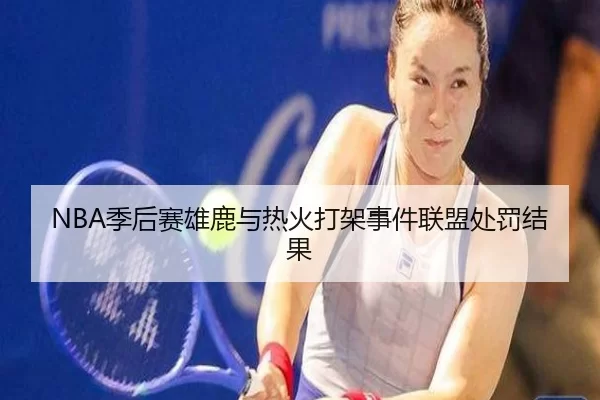 NBA季后赛雄鹿与热火打架事件联盟处罚结果