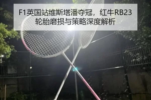 F1英国站维斯塔潘夺冠，红牛RB23轮胎磨损与策略深度解析