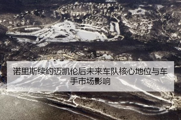 nuo-li-si-xu-yue-mai-kai-lun-hou-wei-lai-che-dui-he-xin-di-wei-yu-che-shou-shi-chang-ying-xiang-2-394.jpg
