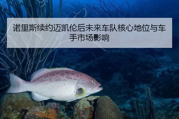诺里斯续约迈凯伦后未来车队核心地位与车手市场影响